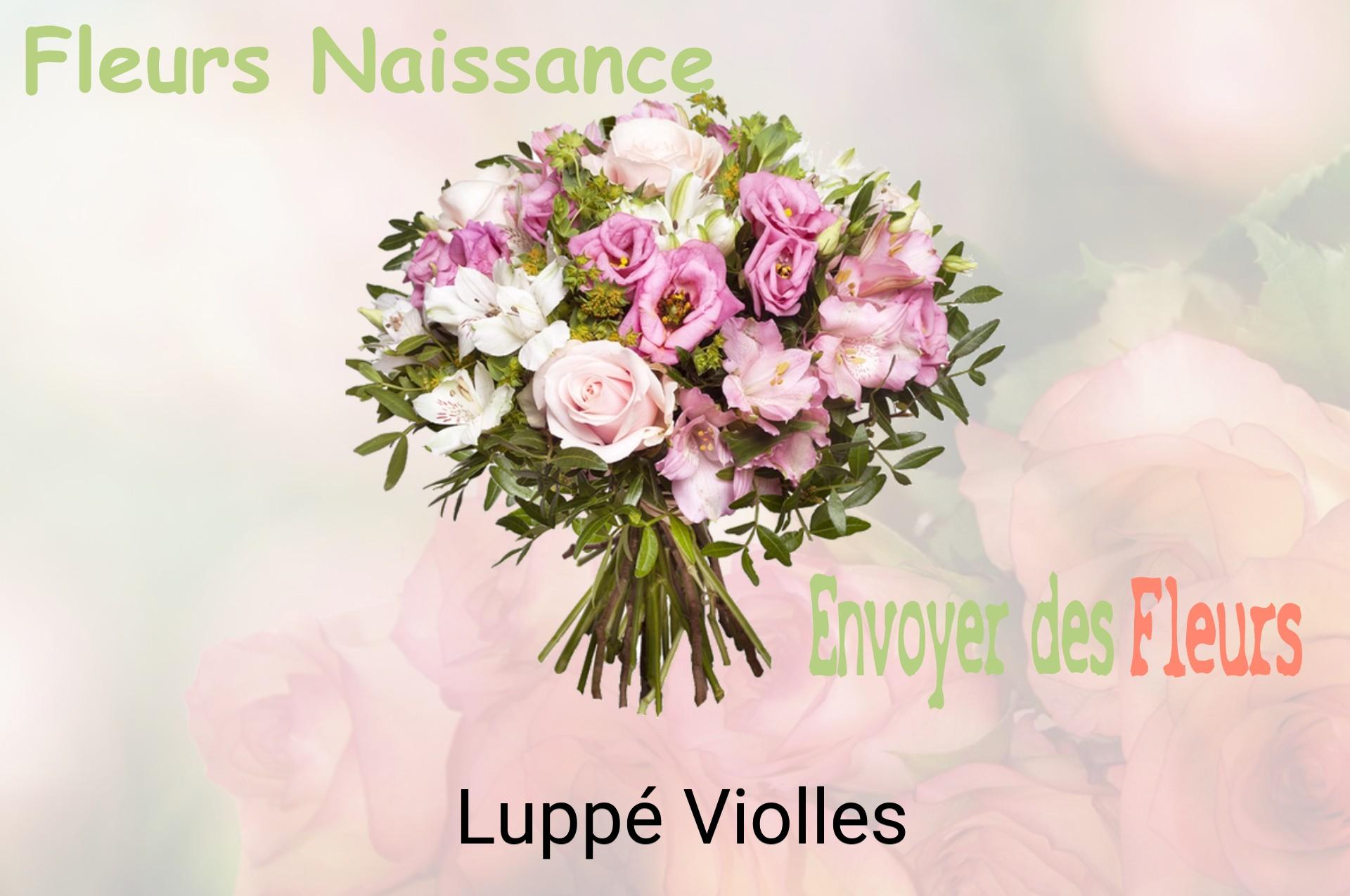 Bouquet de fleurs de naissance livré à Luppé-Violles