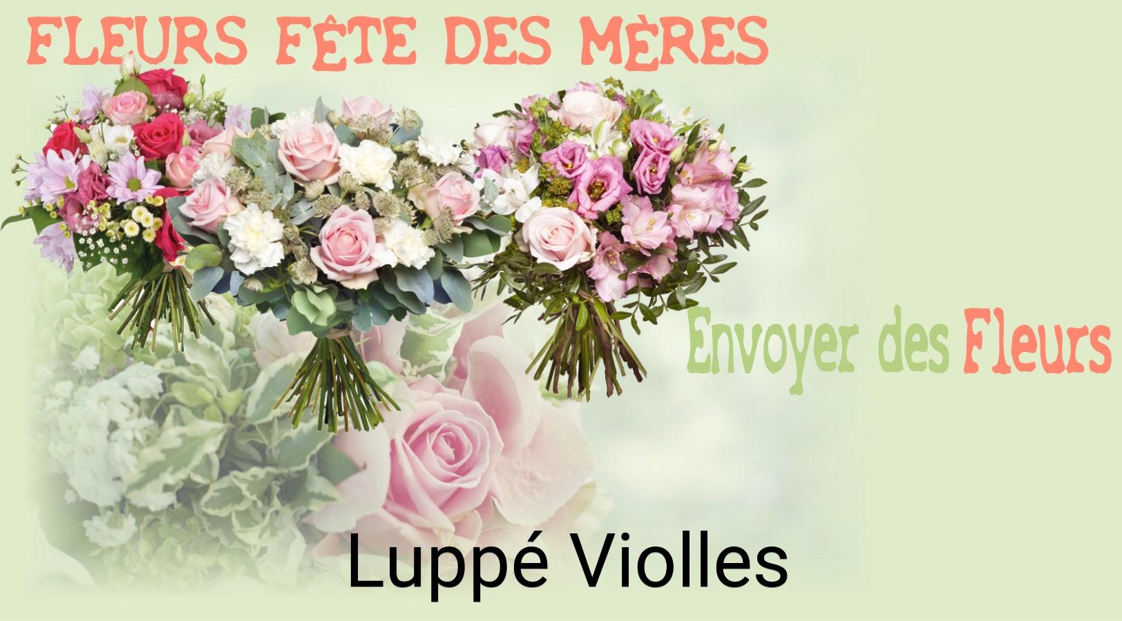Bouquet de Fête des Mères livré à Luppé-Violles